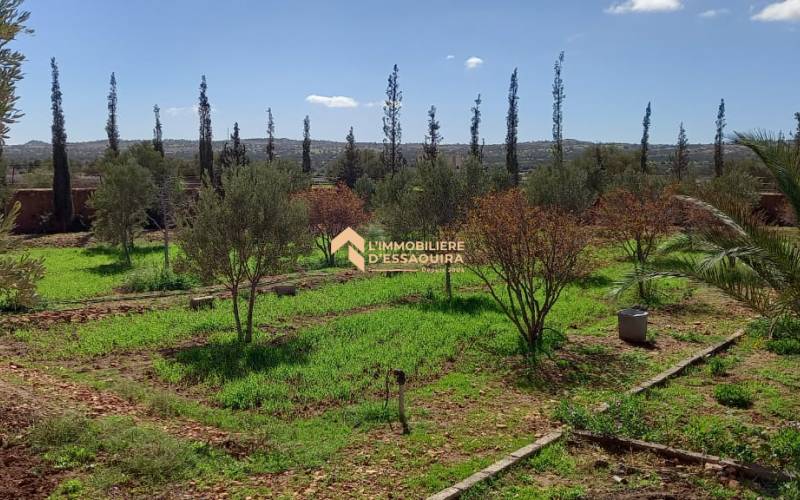 Maison Hamid Ounagha (18)